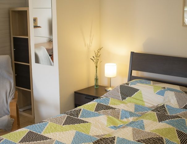 Borea Rooms - Budanje - Vipava Valley apartment (4)