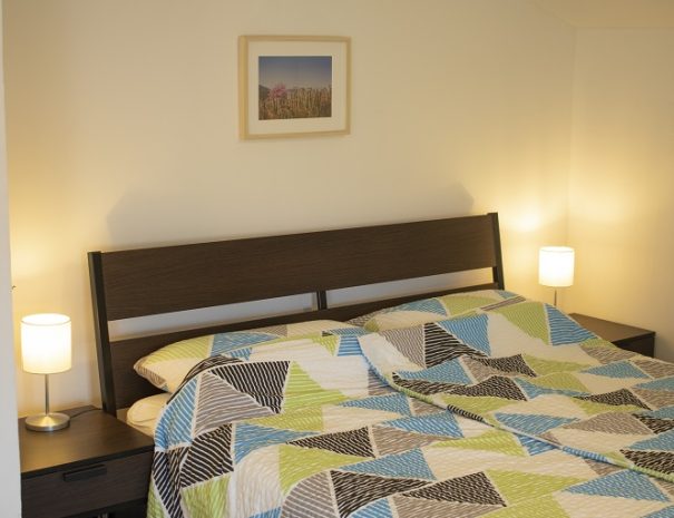 Borea Rooms - Budanje - Vipava Valley apartment (3)