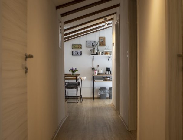 Borea Rooms - Budanje - Vipava Valley apartment (7)
